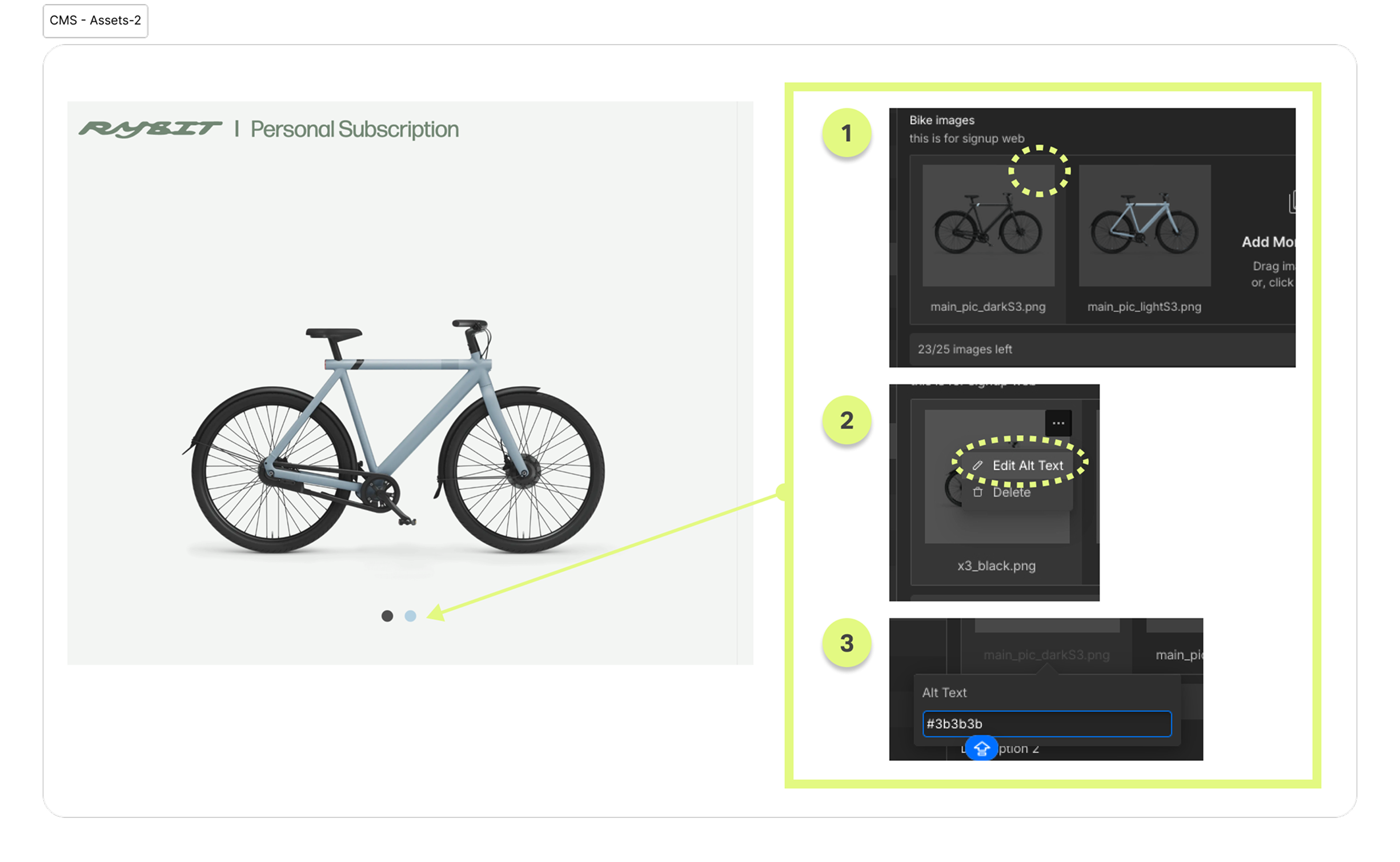 Webflow CMS data screenshot